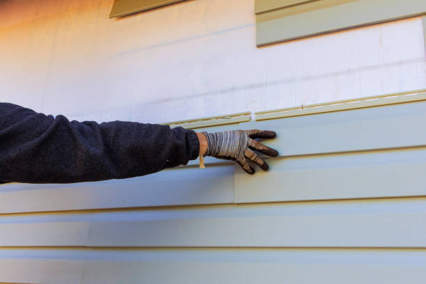 Reliable Gainesville, FL Siding Solutions